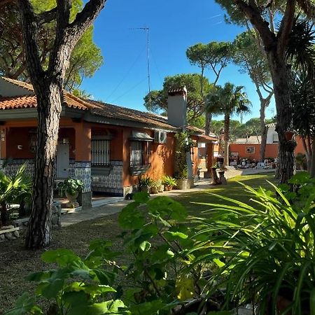 Chalet Los Pinos Con Piscina Privada Novo Sancti Petri Εξωτερικό φωτογραφία