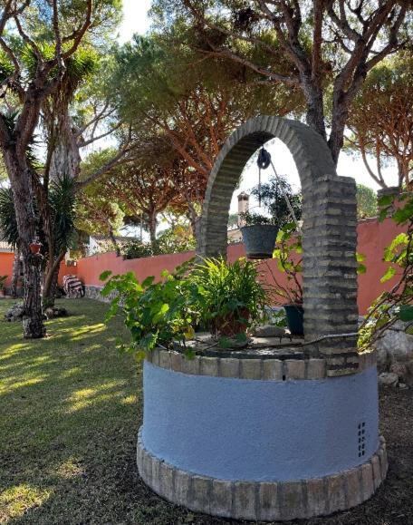 Chalet Los Pinos Con Piscina Privada Novo Sancti Petri Εξωτερικό φωτογραφία