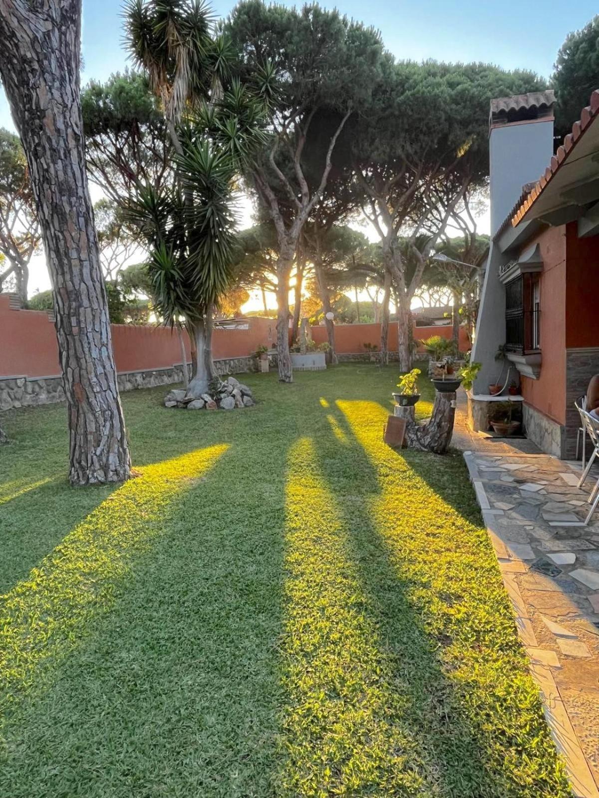 Chalet Los Pinos Con Piscina Privada Novo Sancti Petri Εξωτερικό φωτογραφία